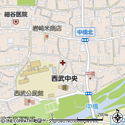 埼玉県入間市野田698周辺の地図