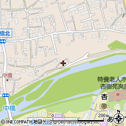 埼玉県入間市野田767周辺の地図