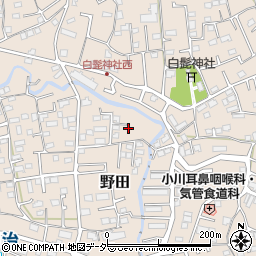 埼玉県入間市野田321周辺の地図