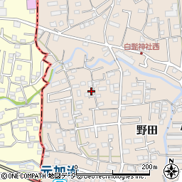 埼玉県入間市野田254周辺の地図