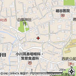 埼玉県入間市野田445周辺の地図