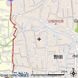 埼玉県入間市野田255周辺の地図