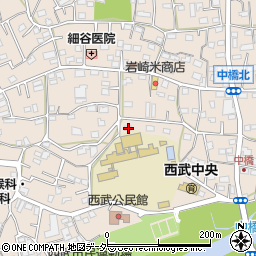 埼玉県入間市野田509周辺の地図