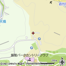 埼玉県飯能市下直竹417-2周辺の地図