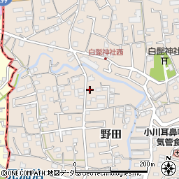 埼玉県入間市野田316周辺の地図