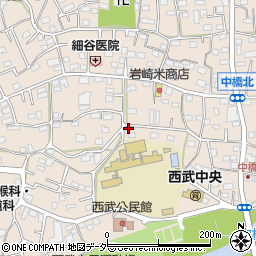 埼玉県入間市野田508周辺の地図