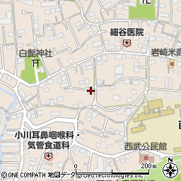 埼玉県入間市野田480周辺の地図