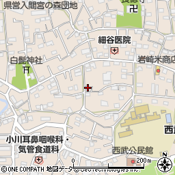 埼玉県入間市野田551周辺の地図