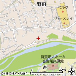 埼玉県入間市野田793周辺の地図