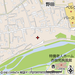 埼玉県入間市野田786周辺の地図