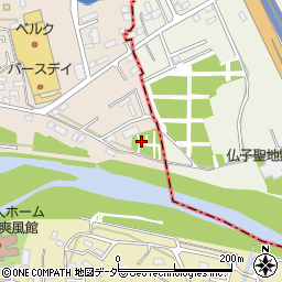 埼玉県入間市野田914周辺の地図