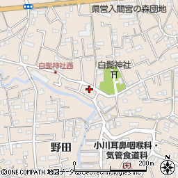 埼玉県入間市野田303周辺の地図