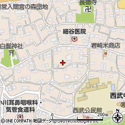 埼玉県入間市野田553周辺の地図