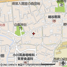 埼玉県入間市野田558周辺の地図