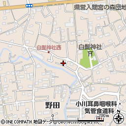 埼玉県入間市野田301周辺の地図