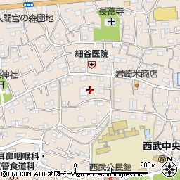 埼玉県入間市野田549周辺の地図