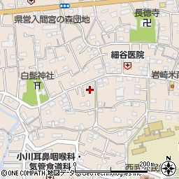 埼玉県入間市野田556周辺の地図