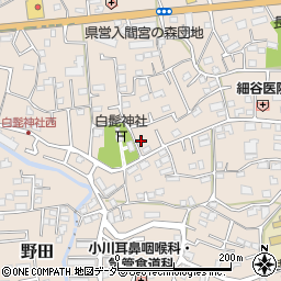 埼玉県入間市野田564周辺の地図