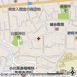 埼玉県入間市野田557周辺の地図
