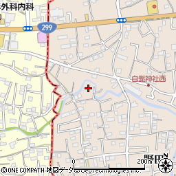 埼玉県入間市野田266-6周辺の地図