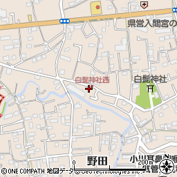 埼玉県入間市野田295周辺の地図