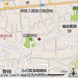 埼玉県入間市野田568周辺の地図