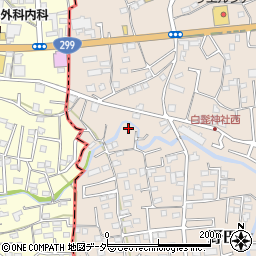 埼玉県入間市野田266-2周辺の地図