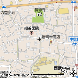 埼玉県入間市野田546周辺の地図
