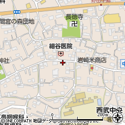 埼玉県入間市野田550周辺の地図