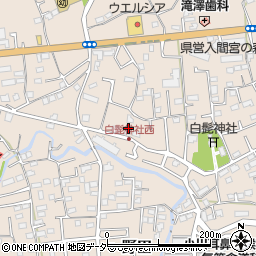 埼玉県入間市野田1535周辺の地図