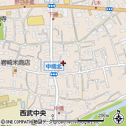 埼玉県入間市野田677周辺の地図