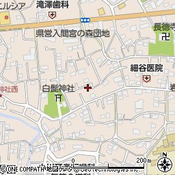 埼玉県入間市野田569周辺の地図