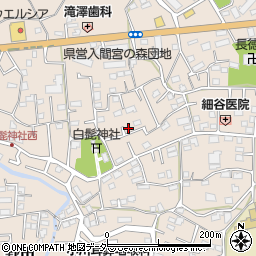 埼玉県入間市野田567周辺の地図