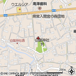 埼玉県入間市野田1491周辺の地図