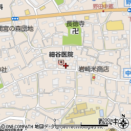 埼玉県入間市野田610周辺の地図