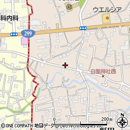 埼玉県入間市野田1547周辺の地図