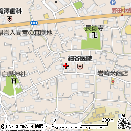 埼玉県入間市野田593周辺の地図