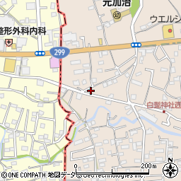埼玉県入間市野田1555周辺の地図