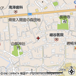 埼玉県入間市野田579周辺の地図