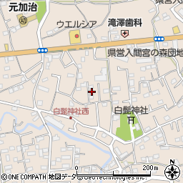埼玉県入間市野田1497周辺の地図