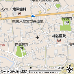 埼玉県入間市野田577周辺の地図