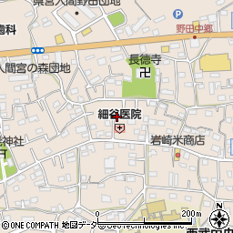 埼玉県入間市野田595周辺の地図