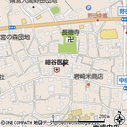 埼玉県入間市野田609周辺の地図