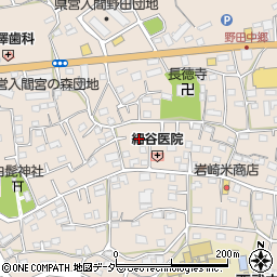 埼玉県入間市野田591周辺の地図
