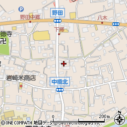 埼玉県入間市野田666周辺の地図