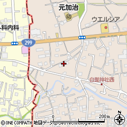 埼玉県入間市野田1550周辺の地図