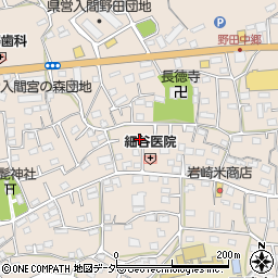 埼玉県入間市野田590周辺の地図