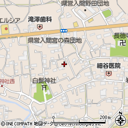 埼玉県入間市野田572周辺の地図