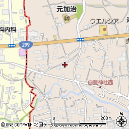 埼玉県入間市野田1544周辺の地図