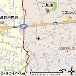 埼玉県入間市野田1563周辺の地図